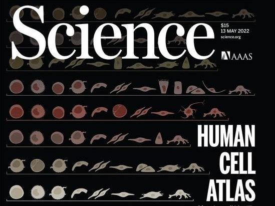 迄今最全人类细胞图谱登上《科学》封面，书写人体百科全书